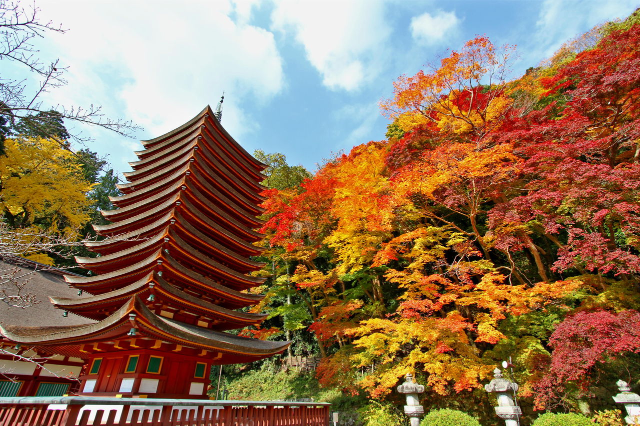 談山神社は紅葉や桜が美しいパワースポット アクセスやご利益をまとめ Travelnote トラベルノート