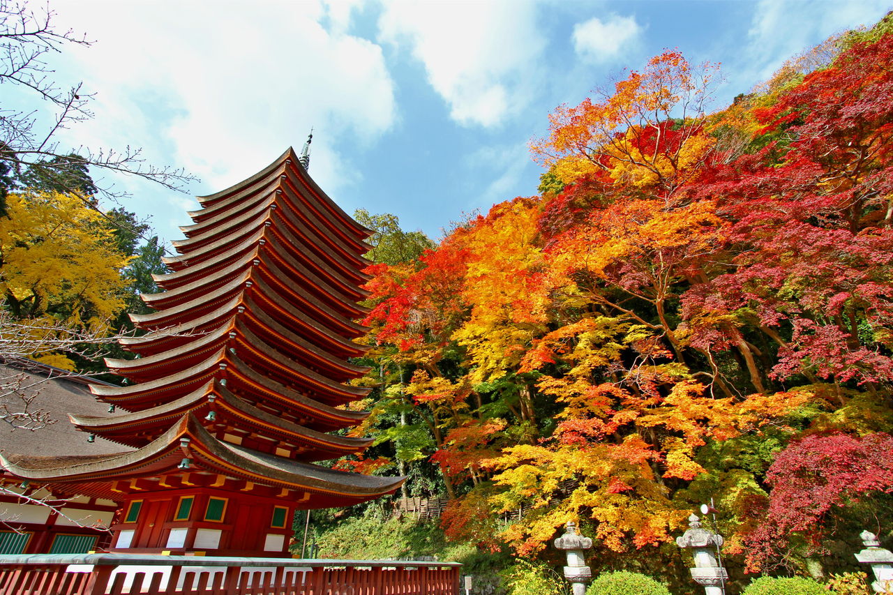 談山神社は紅葉や桜が美しいパワースポット！アクセスやご利益をまとめ！