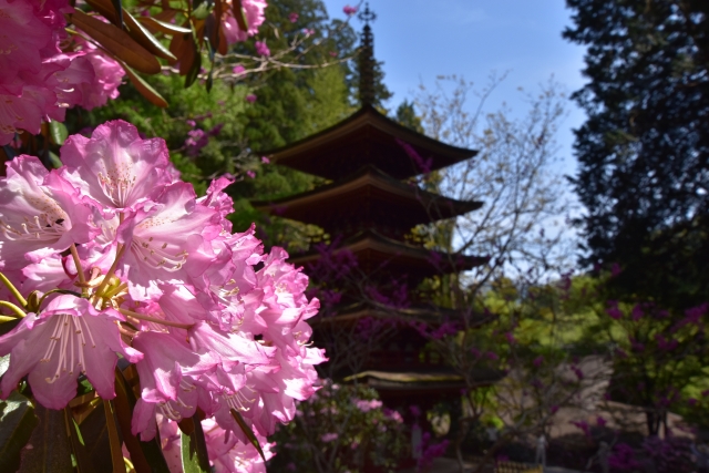 室生寺は奈良にある有名な社寺！見どころや拝観料をまとめて紹介！