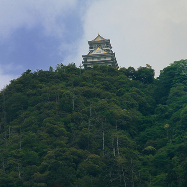 伊奈波神社 は岐阜の最強パワースポット 黒龍のお守りで運気up Travelnote トラベルノート