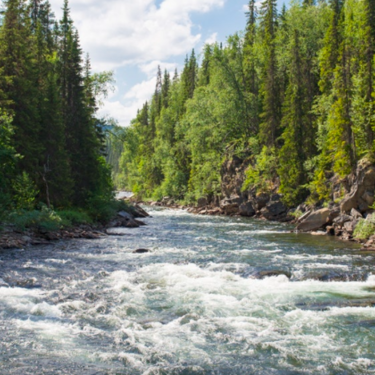 世界一長い川ランキングtop10 最長の川はどこの国にある Travelnote トラベルノート