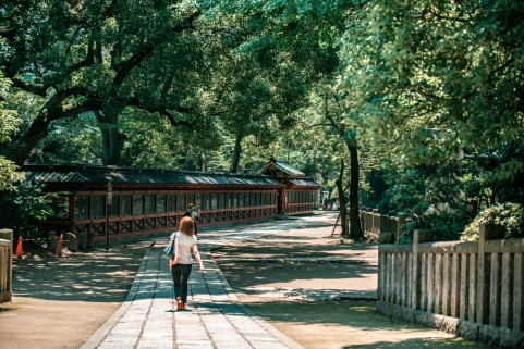 川越氷川神社のお守り一覧 人気の種類や値段 貰える時間も紹介 Travelnote トラベルノート