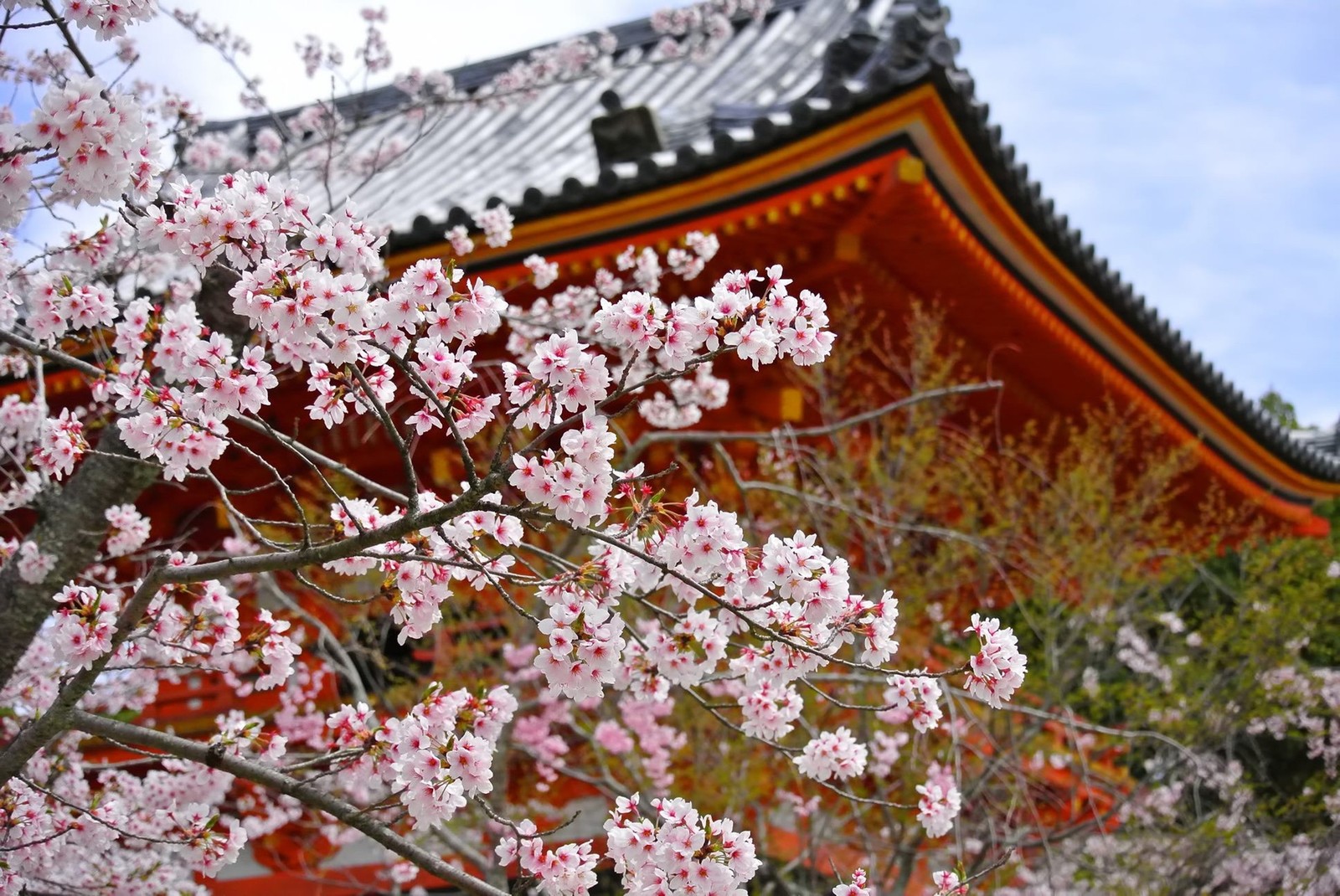 六波羅蜜寺は京都のパワースポットとして有名 見どころや御朱印も紹介 Travelnote トラベルノート