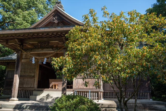 江田神社は宮崎の有名なパワースポット！ご利益やお守りに御朱印も紹介！