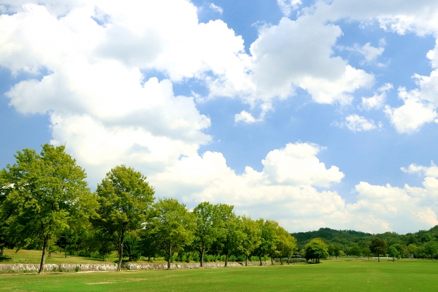 引地川親水公園は人気の公園 ドッグラン 水遊び 花見など楽しみ方いろいろ Travelnote トラベルノート