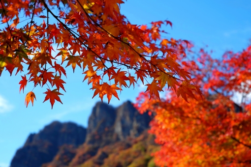 妙義山の登山ルートや紅葉シーズンまとめ 群馬の名山の見どころを詳しく紹介 Travelnote トラベルノート