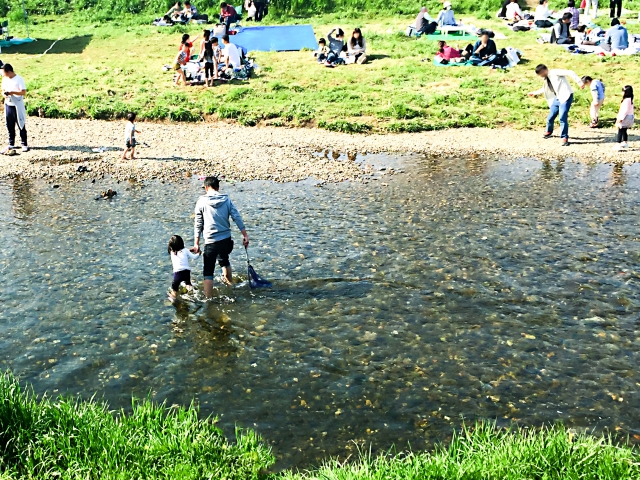 神奈川の川遊びスポット11選！子供と釣りを楽しめるおすすめの穴場もご紹介