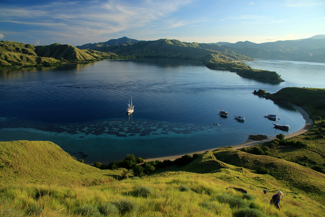 コモド島はインドネシア観光に欠かせない！行き方やおすすめの遊び方をご紹介
