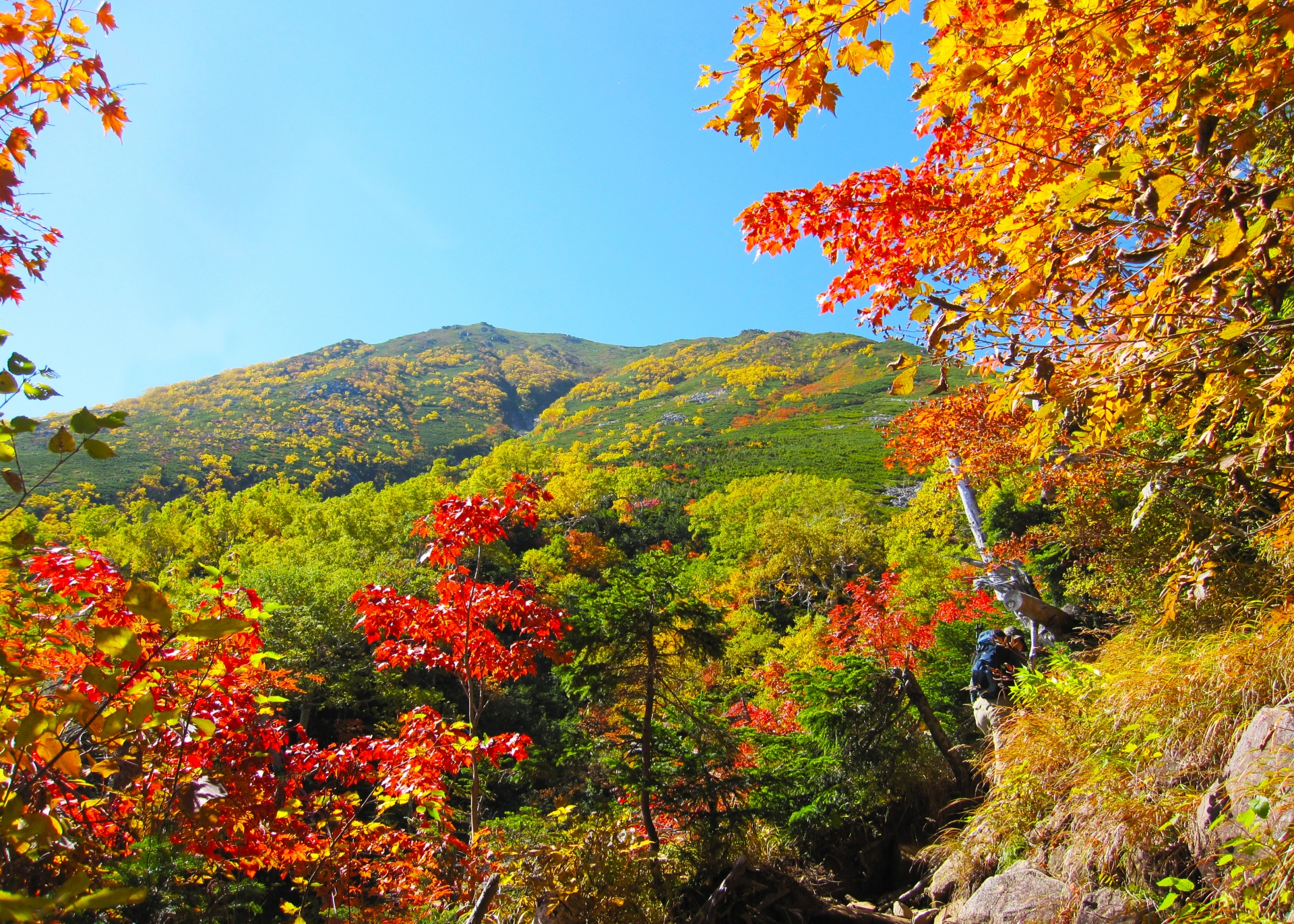 嵐山渓谷は紅葉が有名なスポット！アクセス情報や見どころもご紹介！