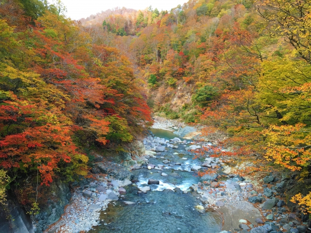 秋山郷は日本の秘境100選のひとつ！観光スポットや温泉情報もご紹介！