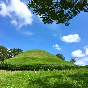 キトラ古墳壁画体験館 四神の館 の見どころは アクセス方法もご紹介 Travelnote トラベルノート