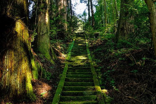 方違神社は方災除けのご利益スポット お守りの効果や御朱印を調査 Travelnote トラベルノート