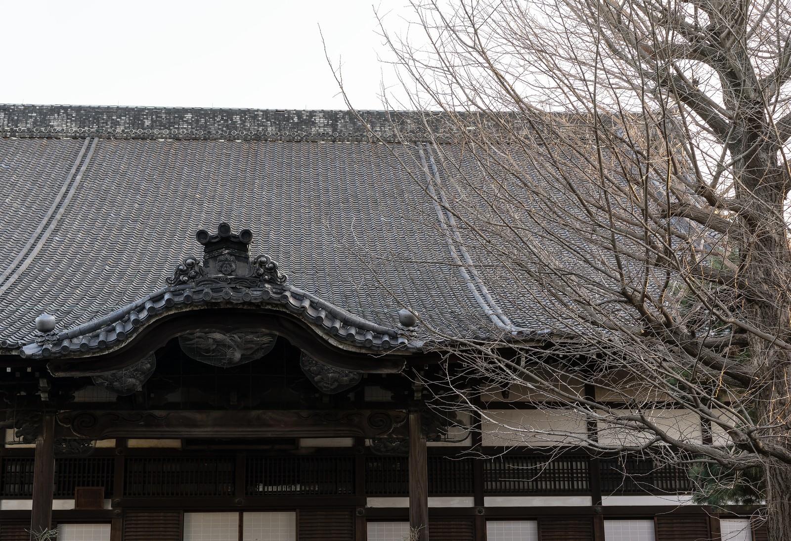 禅居庵（摩利支天堂）の御朱印やお守りは？京都にある猪の寺の見どころを調査