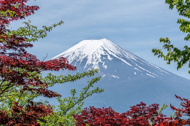 富士山世界遺産センターで山梨の博物館 人気のお土産 入場料金 アクセスは Travelnote トラベルノート