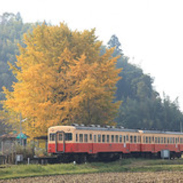 小湊鉄道は千葉のローカル線 人気の観光スポットやおすすめグルメは Travelnote トラベルノート