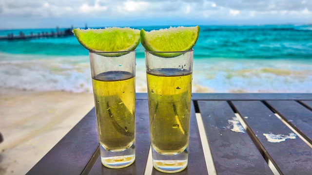 メスカルはメキシコを代表する芋虫入りのお酒 テキーラとの違いや飲み方もご紹介 2ページ目 Travelnote トラベルノート