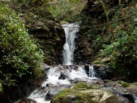 瓜割の滝は福井の人気パワースポット！くずまんじゅうなどの人気グルメもあり！