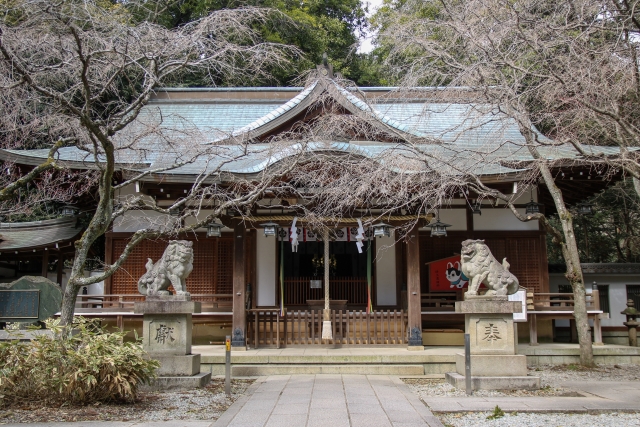 保久良神社はカタカムナの聖地＆神戸のパワースポット！アクセス方法もご紹介！