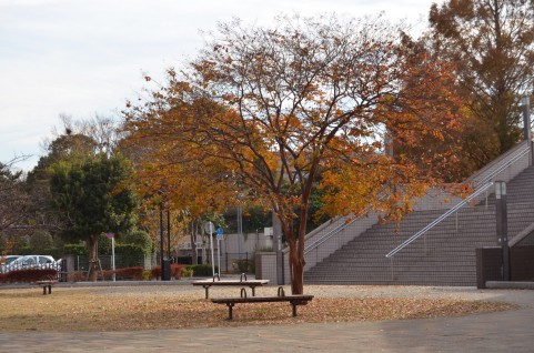岸根公園は横浜にある人気のお出かけスポット！広々とした芝生・遊具が魅力的！