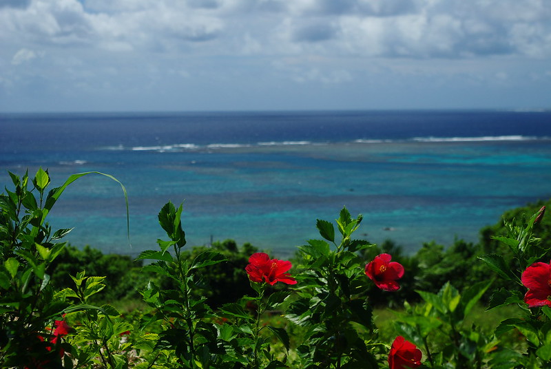 1月の沖縄の楽しみ方まとめ 冬の気候やおすすめの服装 観光スポットも Travelnote トラベルノート