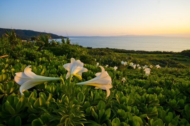 御神崎は石垣島最西端の絶景スポット！灯台から見る夕日もおすすめ！