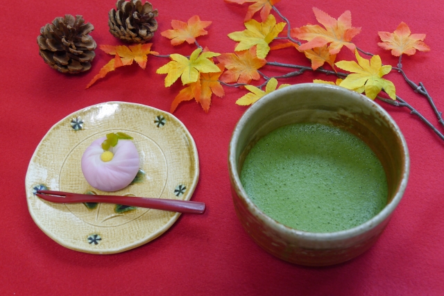 奈良のおすすめ和菓子21選！老舗や有名店の美味しい名品を味わおう！