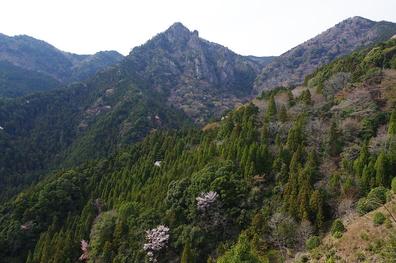 雪彦山 兵庫 の登山ルートをチェック 初心者にもおすすめできる Travelnote トラベルノート