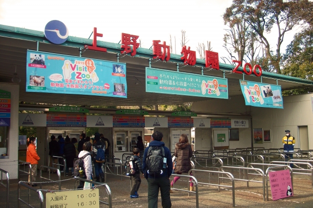 上野動物園のチケット情報まとめ 料金が安くなるお得な方法もチェック Travelnote トラベルノート