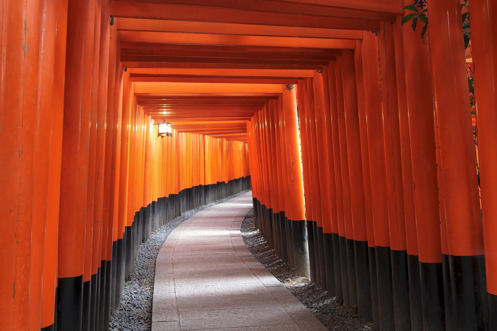 サムハラ神社（大阪）に伝わる怖い話とは？参拝方法やご利益もチェック！