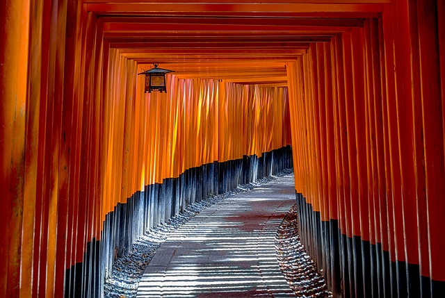 帯廣神社は北海道のおすすめパワースポット！変わったおみくじや御朱印情報も紹介