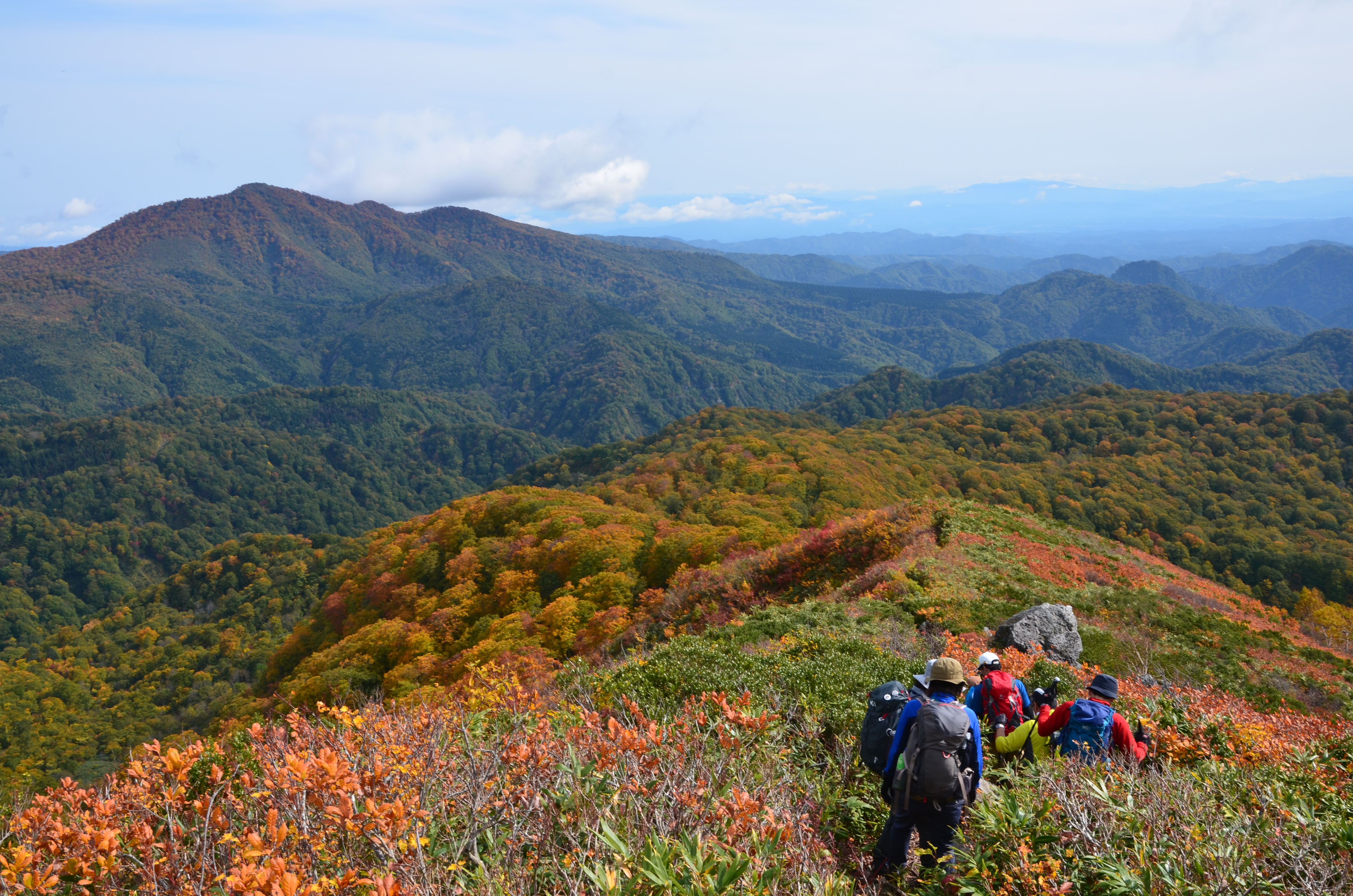 藤里町の自然体験が人気！白神山地や定番観光スポットをご紹介！