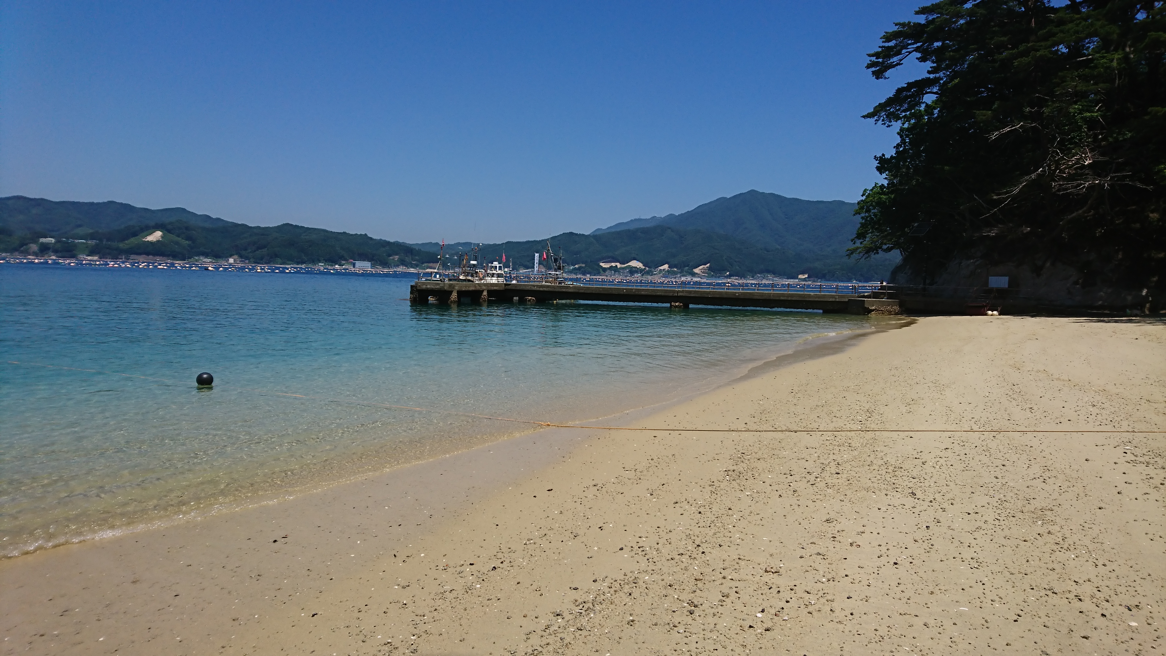 めぐる 山田 宮 八