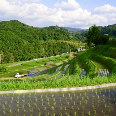 千早赤阪村は大阪唯一の村 おすすめの観光プランやランチに使える食事処を紹介 Travelnote トラベルノート