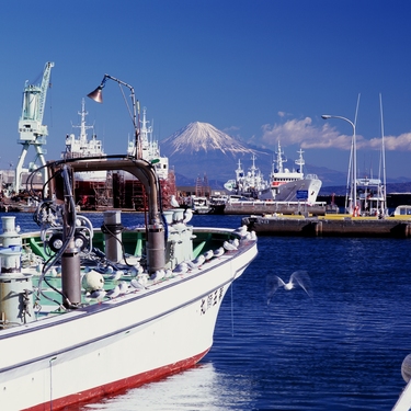 焼津市は魚と自然に囲まれた魅力的な市 人気の観光スポットや絶品グルメを紹介 Travelnote トラベルノート