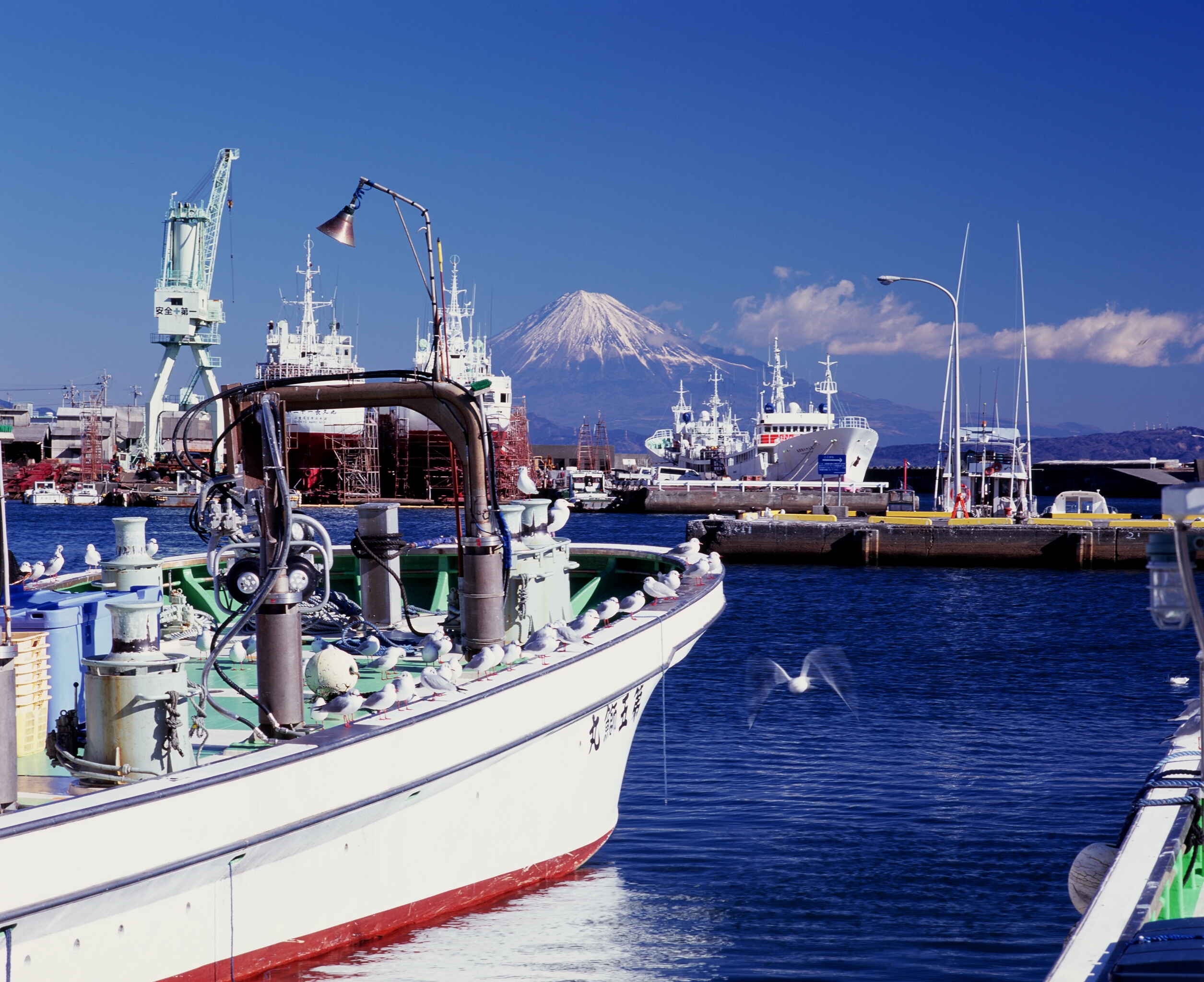 焼津市は魚と自然に囲まれた魅力的な市 人気の観光スポットや絶品グルメを紹介 2ページ目 Travelnote トラベルノート