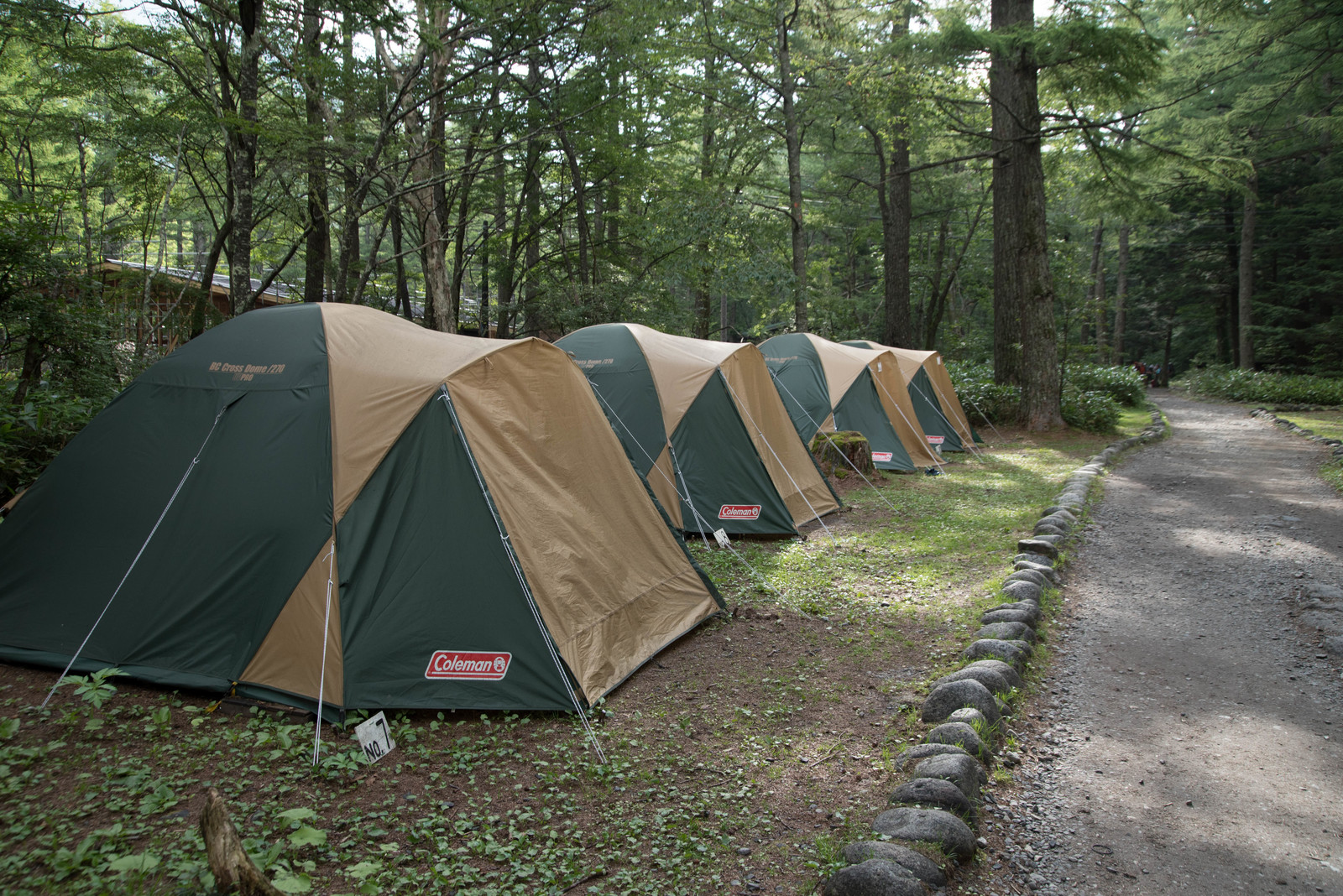 女子キャンプにおすすめ テントから服装までおしゃれで可愛いアイテムを紹介 Travelnote トラベルノート