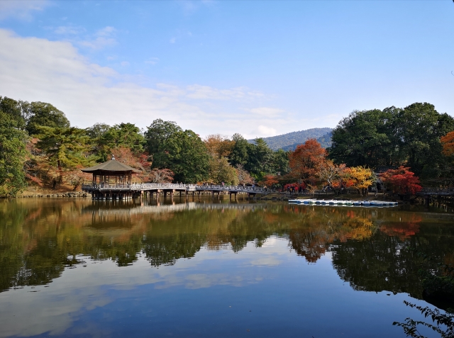 奈良のインスタ映えスポット15選！人気観光地からおしゃれなカフェまで！