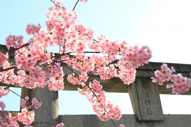 足湯も入れる神社？福岡で人気のパワースポット「警固神社」を紹介！