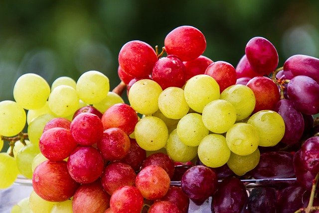 【果物好きがハマる】コストコ人気フルーツ9選！美味しい＆個性派の商品教えます